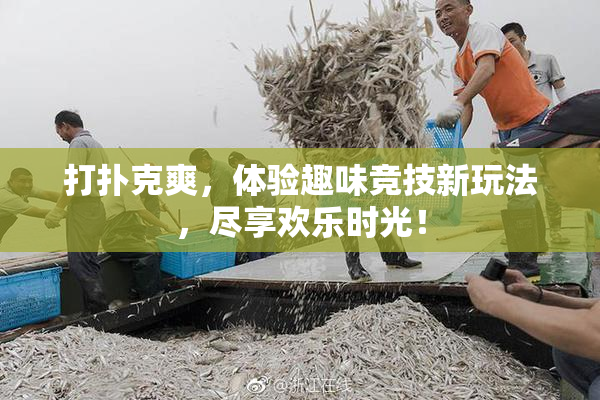 打扑克爽，体验趣味竞技新玩法，尽享欢乐时光！