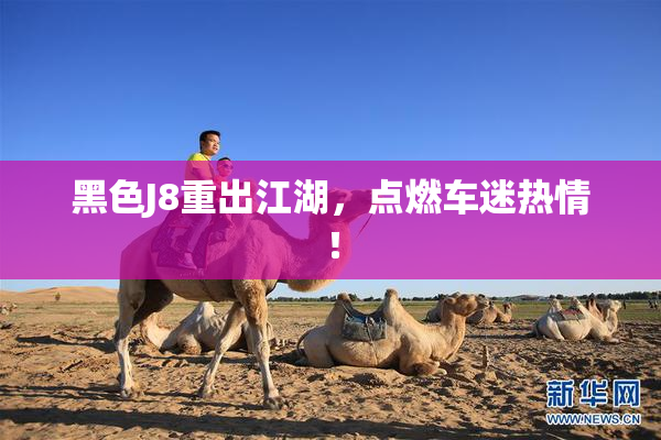 黑色J8重出江湖，点燃车迷热情！