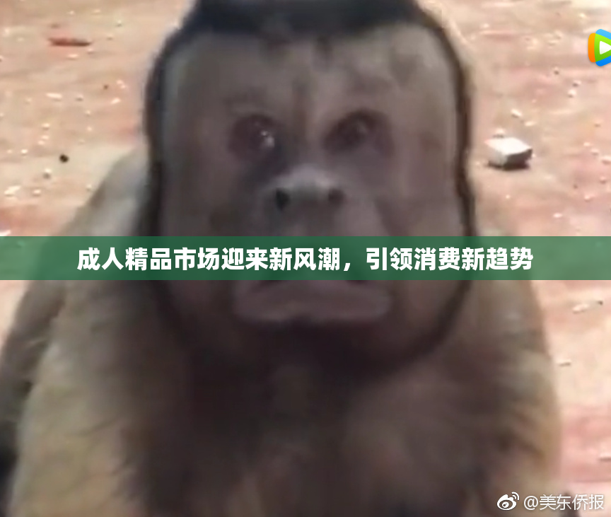 成人精品市场迎来新风潮，引领消费新趋势