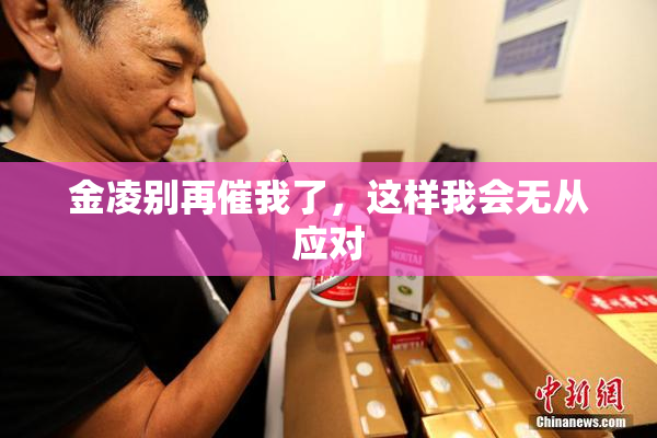 金凌别再催我了，这样我会无从应对