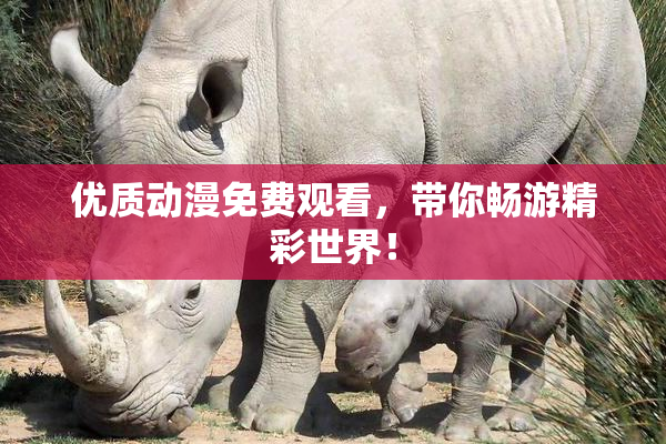 优质动漫免费观看，带你畅游精彩世界！