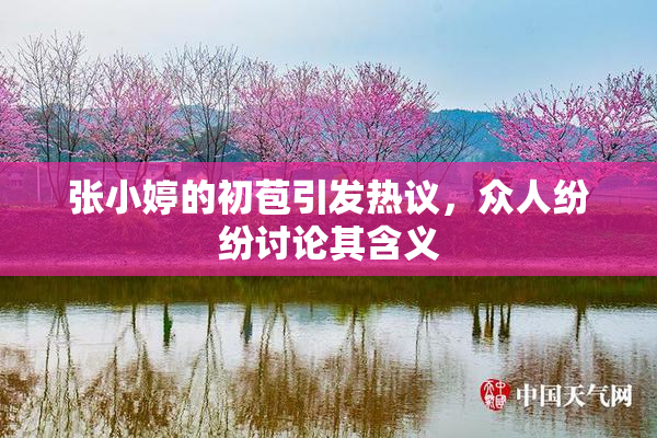 张小婷的初苞引发热议，众人纷纷讨论其含义