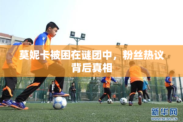 莫妮卡被困在谜团中，粉丝热议背后真相