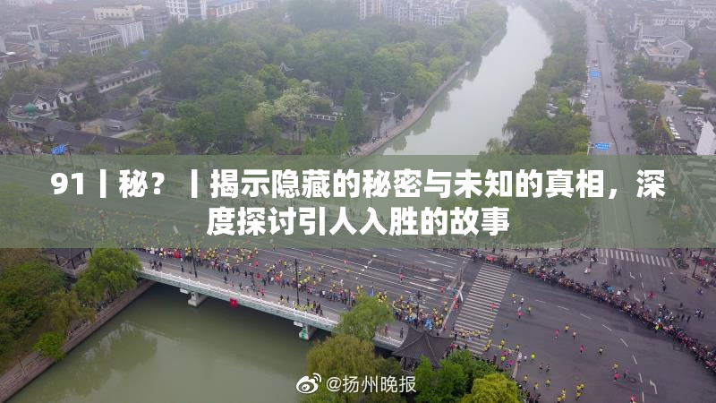 91丨秘？丨揭示隐藏的秘密与未知的真相，深度探讨引人入胜的故事