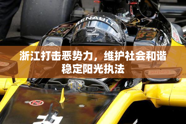浙江打击恶势力，维护社会和谐稳定阳光执法