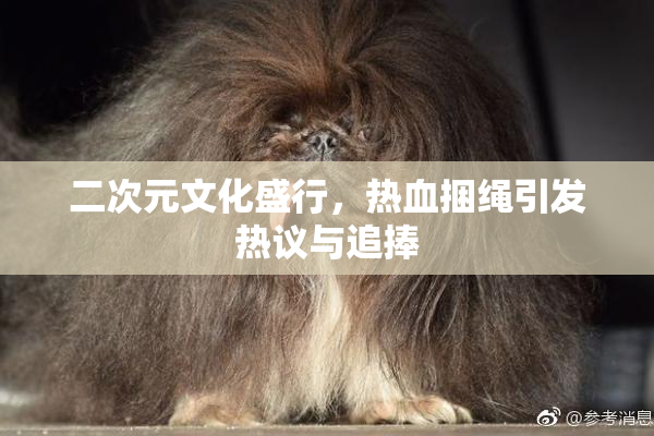 二次元文化盛行，热血捆绳引发热议与追捧
