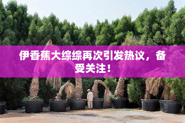 伊香蕉大综综再次引发热议，备受关注！