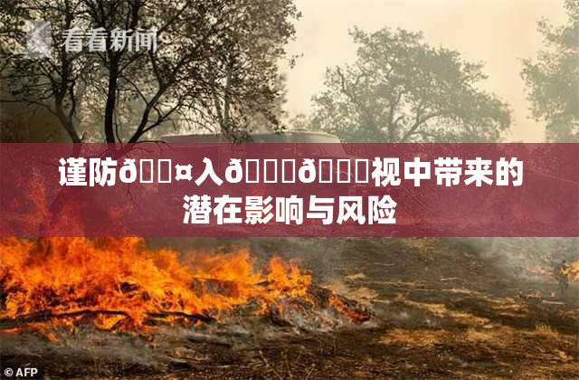谨防🐤入🍑🍑视中带来的潜在影响与风险