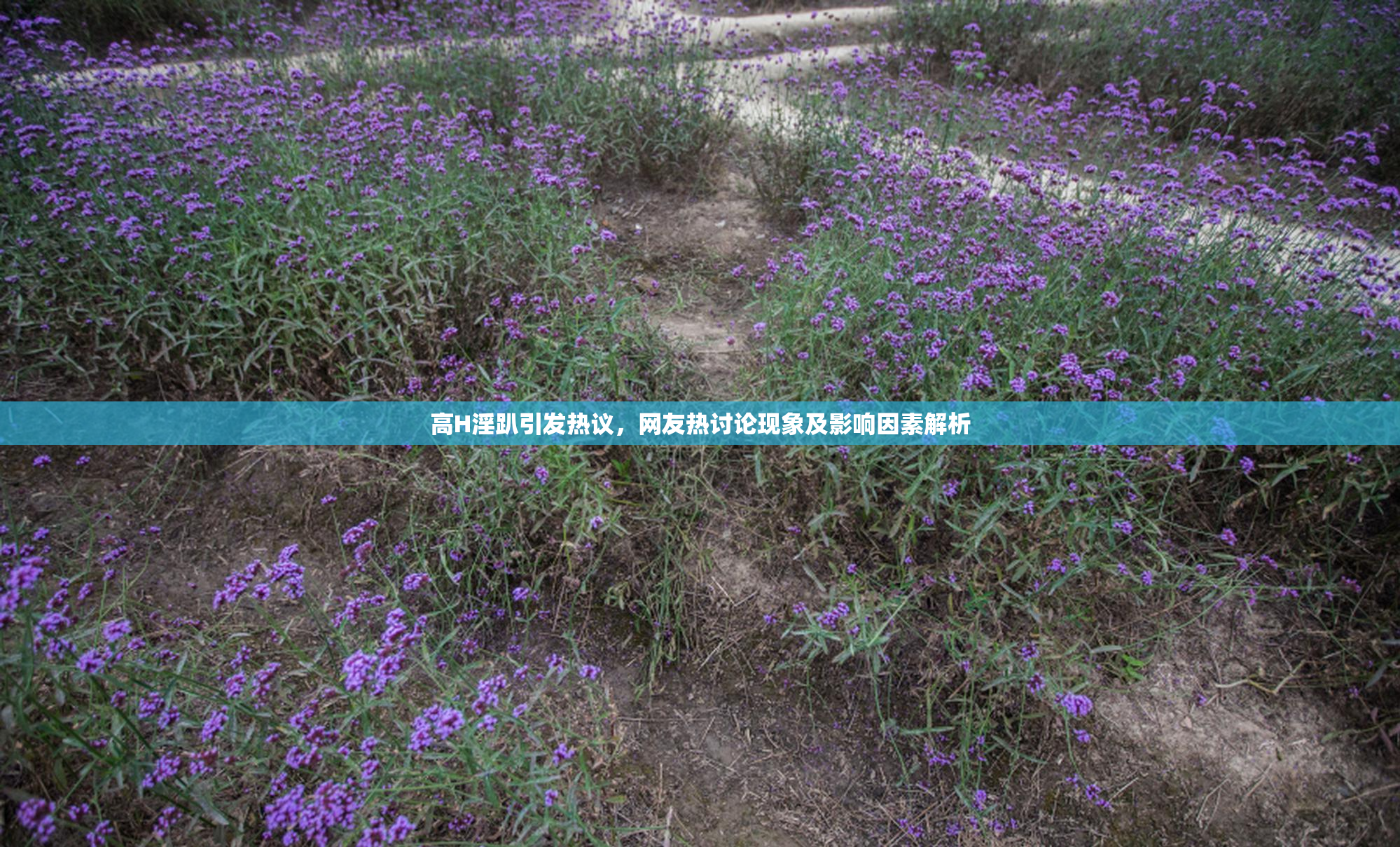 高H淫趴引发热议，网友热讨论现象及影响因素解析