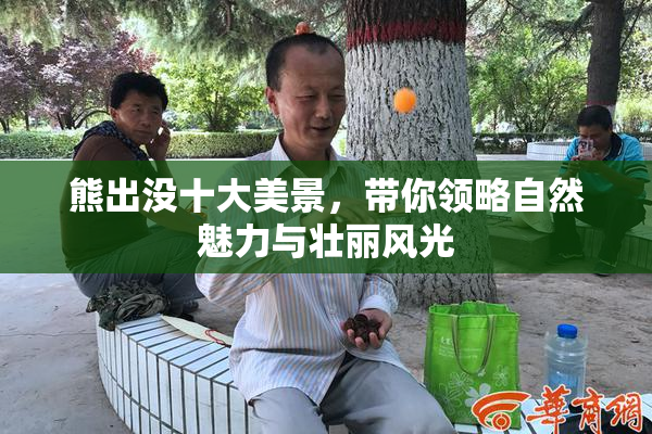 熊出没十大美景，带你领略自然魅力与壮丽风光
