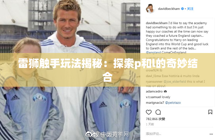 雷狮触手玩法揭秘：探索p和l的奇妙结合