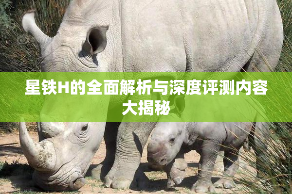 星铁H的全面解析与深度评测内容大揭秘