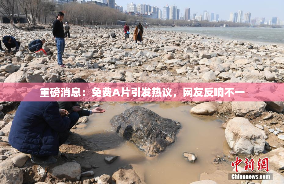 重磅消息：免费A片引发热议，网友反响不一