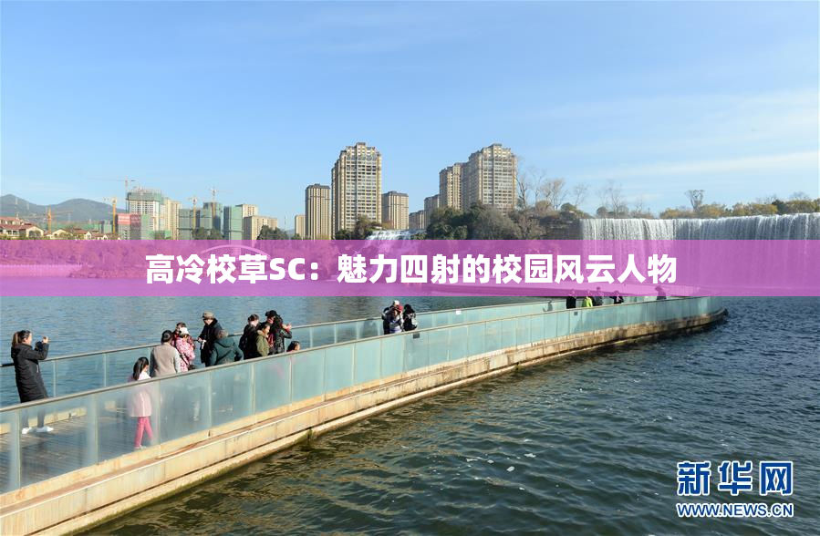 高冷校草SC：魅力四射的校园风云人物