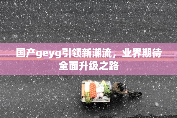 国产geyg引领新潮流，业界期待全面升级之路