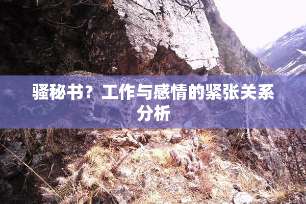 骚秘书？工作与感情的紧张关系分析