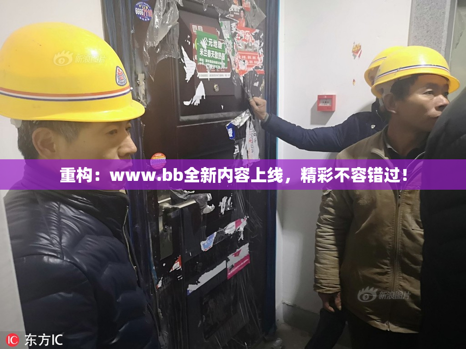 重构：www.bb全新内容上线，精彩不容错过！