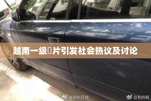 越南一级婬片引发社会热议及讨论