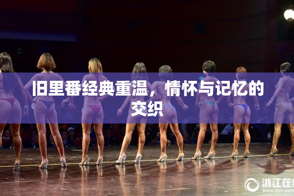 旧里番经典重温，情怀与记忆的交织
