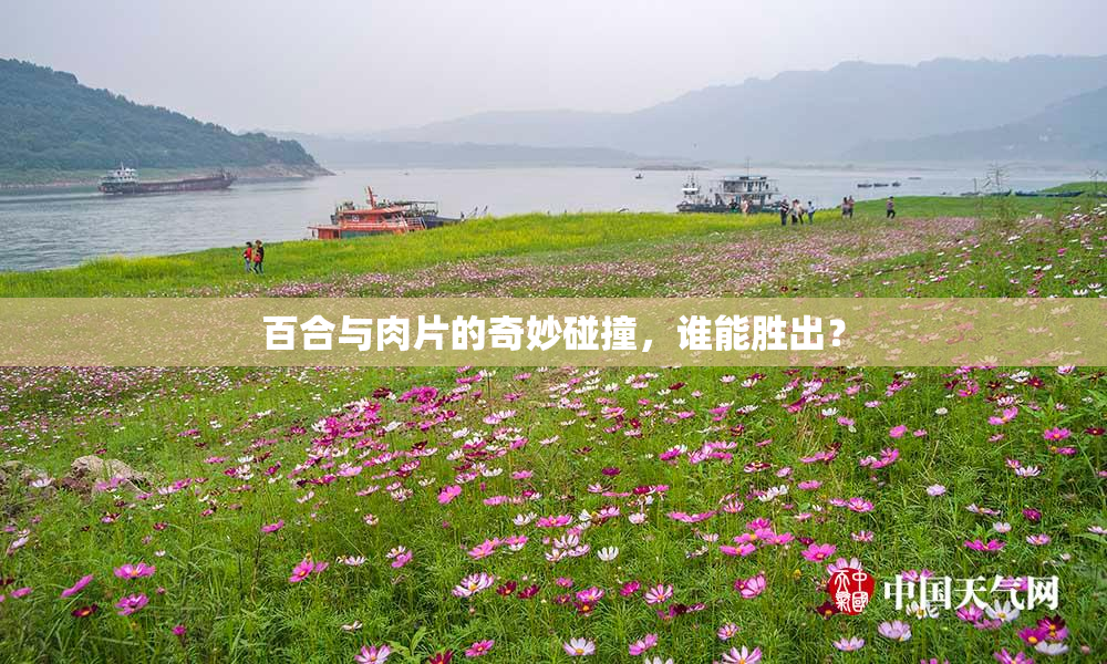 百合与肉片的奇妙碰撞，谁能胜出？