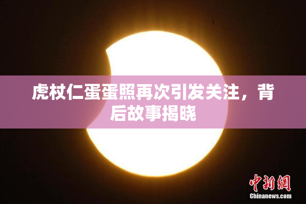 虎杖仁蛋蛋照再次引发关注，背后故事揭晓