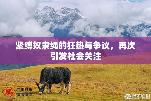 紧缚奴隶绳的狂热与争议，再次引发社会关注