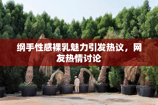 纲手性感裸乳魅力引发热议，网友热情讨论