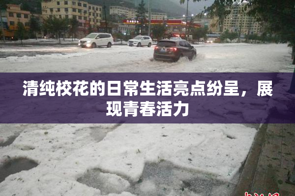 清纯校花的日常生活亮点纷呈，展现青春活力