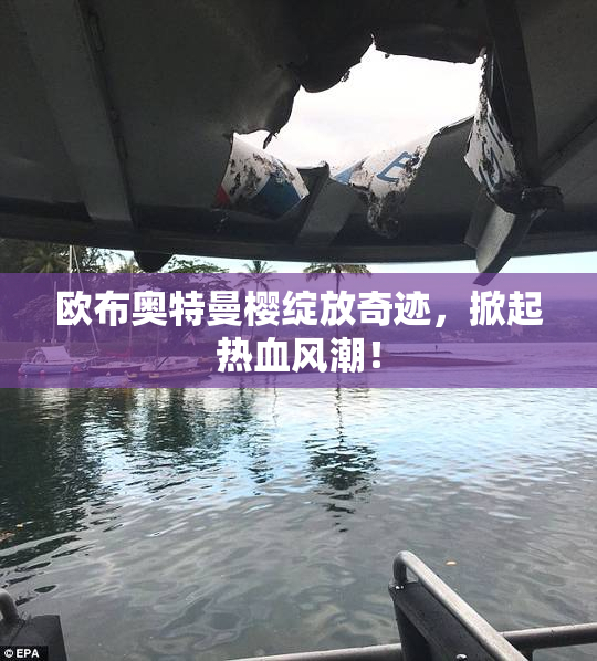 欧布奥特曼樱绽放奇迹，掀起热血风潮！