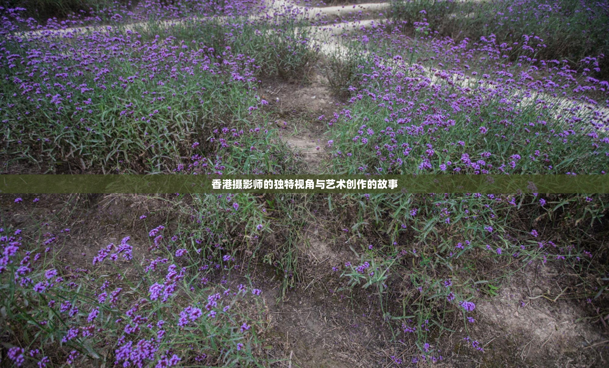 香港摄影师的独特视角与艺术创作的故事