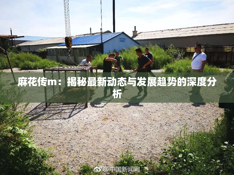 麻花传m：揭秘最新动态与发展趋势的深度分析