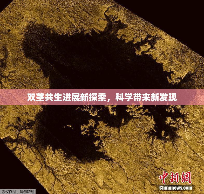 双茎共生进展新探索，科学带来新发现