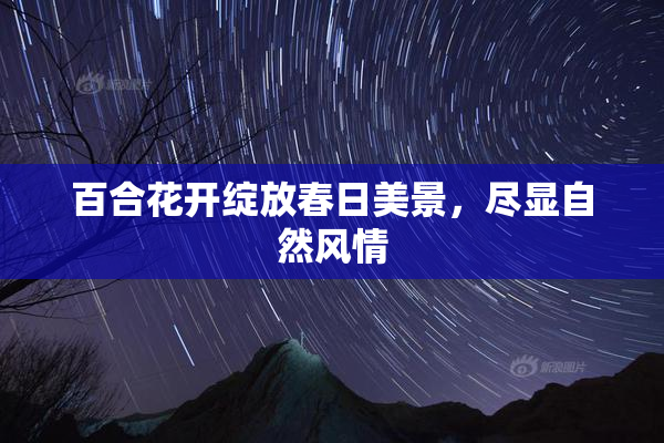 百合花开绽放春日美景，尽显自然风情