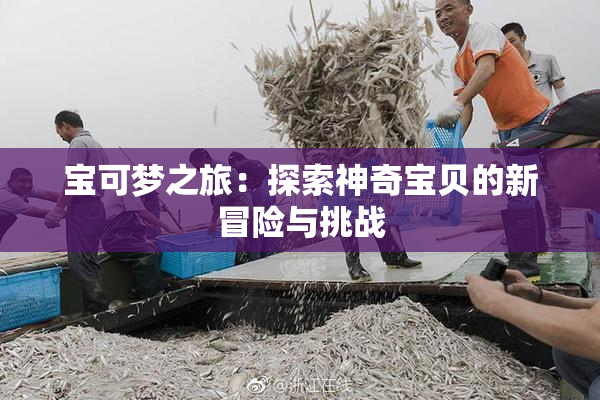 宝可梦之旅：探索神奇宝贝的新冒险与挑战