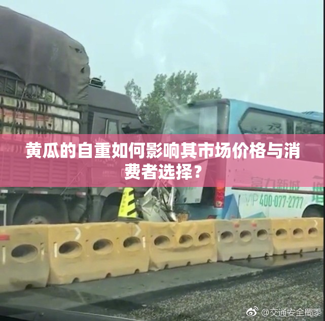 黄瓜的自重如何影响其市场价格与消费者选择？