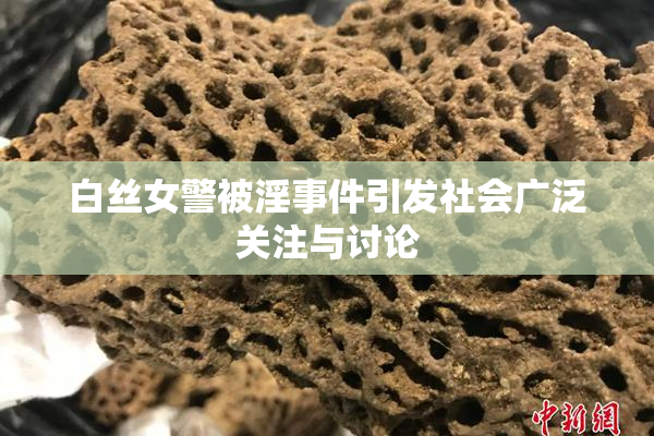 白丝女警被淫事件引发社会广泛关注与讨论