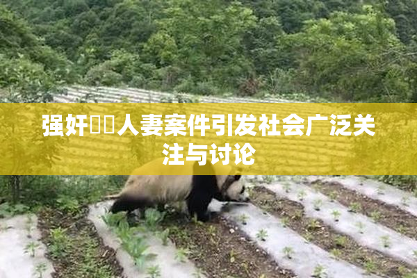 强奸亂倫人妻案件引发社会广泛关注与讨论