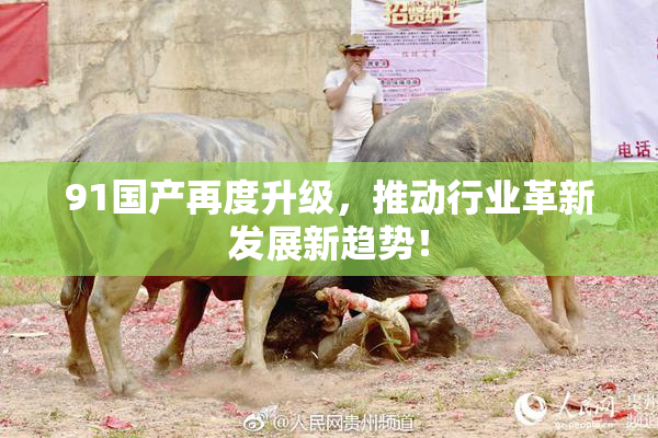 91国产再度升级，推动行业革新发展新趋势！