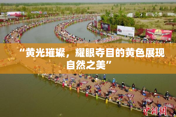“黄光璀璨，耀眼夺目的黄色展现自然之美”
