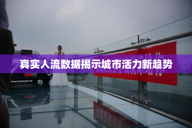 真实人流数据揭示城市活力新趋势