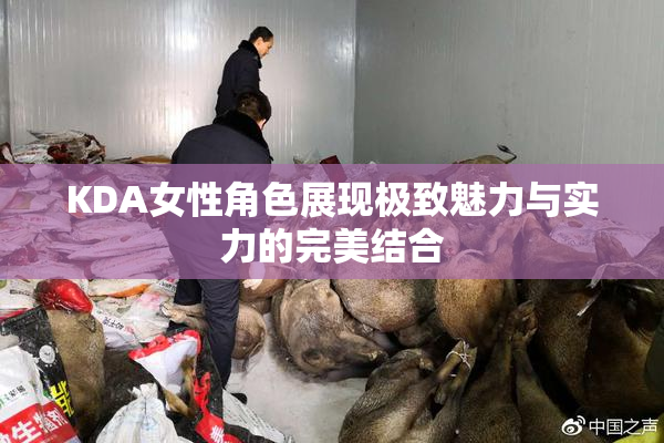 KDA女性角色展现极致魅力与实力的完美结合