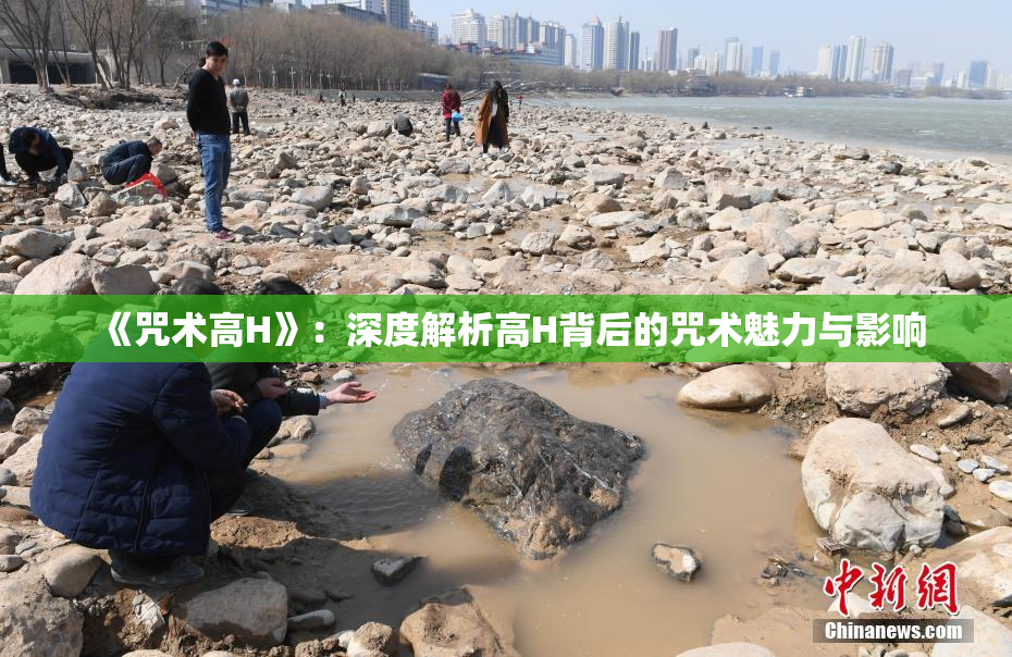 《咒术高H》：深度解析高H背后的咒术魅力与影响