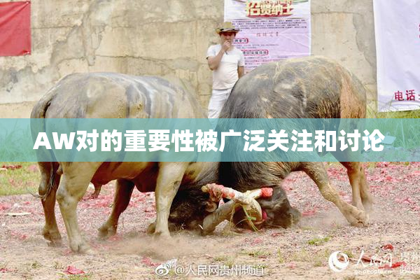 AW对的重要性被广泛关注和讨论