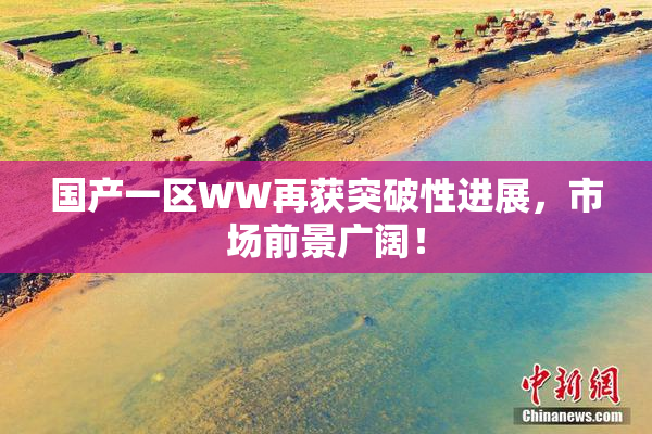 国产一区WW再获突破性进展，市场前景广阔！