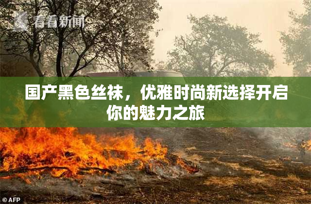 国产黑色丝袜，优雅时尚新选择开启你的魅力之旅