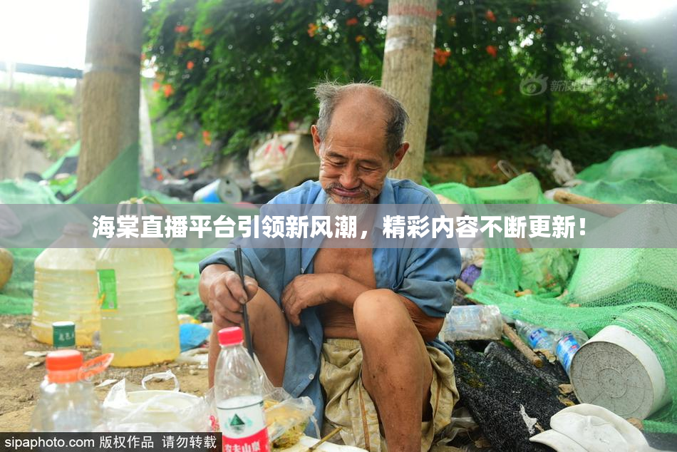海棠直播平台引领新风潮，精彩内容不断更新！