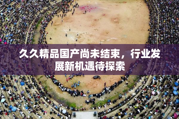 久久精品国产尚未结束，行业发展新机遇待探索