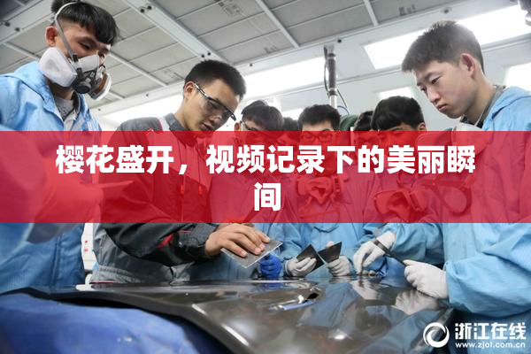 樱花盛开，视频记录下的美丽瞬间