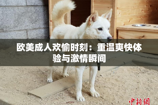 欧美成人欢愉时刻：重温爽快体验与激情瞬间