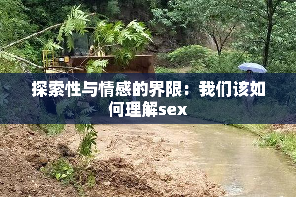 探索性与情感的界限：我们该如何理解sex